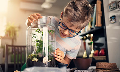 experiment wasserkreislauf im glas